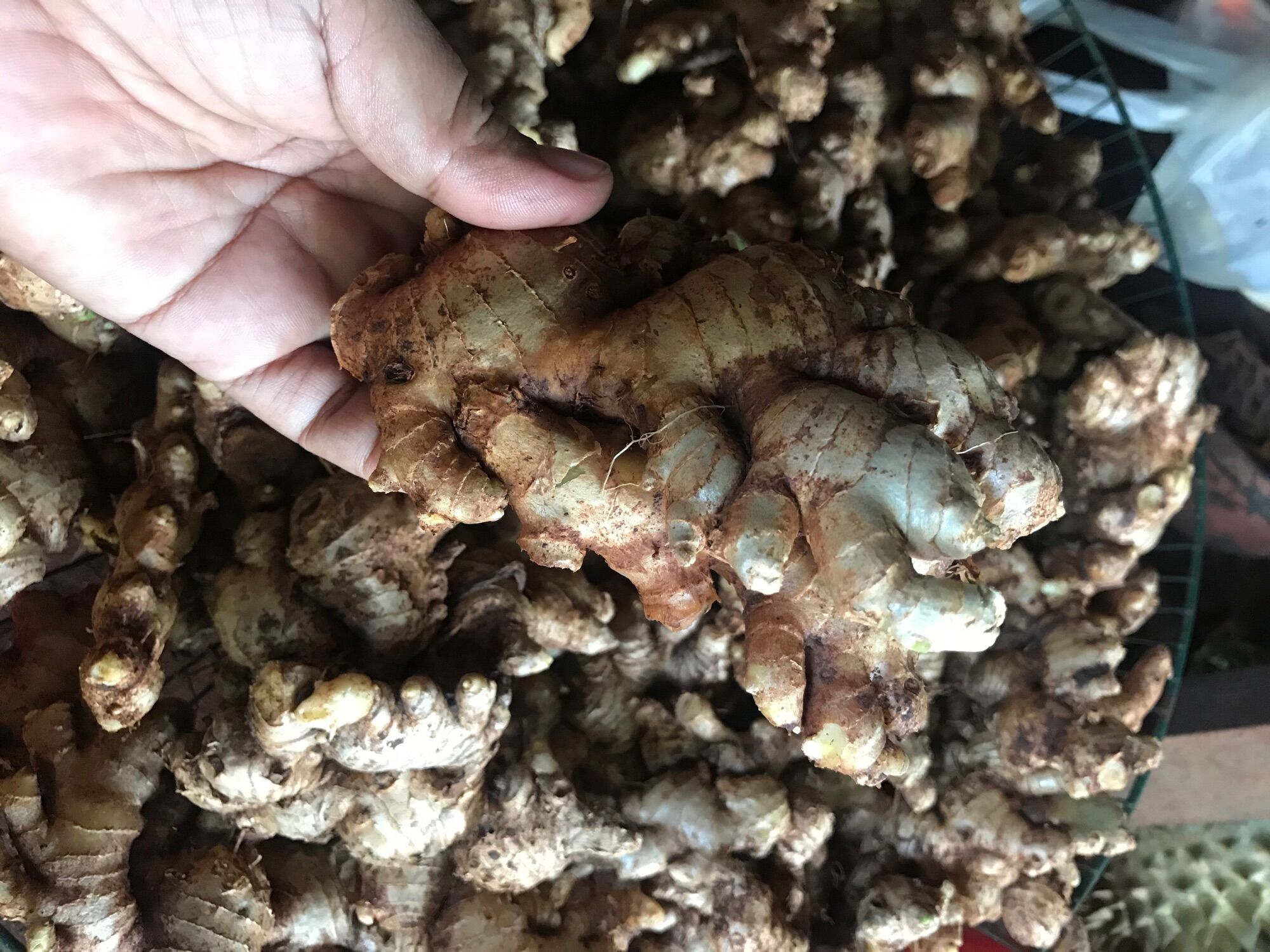 100g gừng tươi