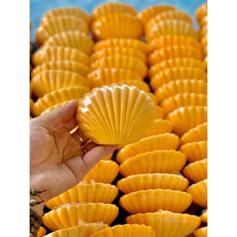 Xà phòng nở ngực mị hương - xà phòng hình con sò
