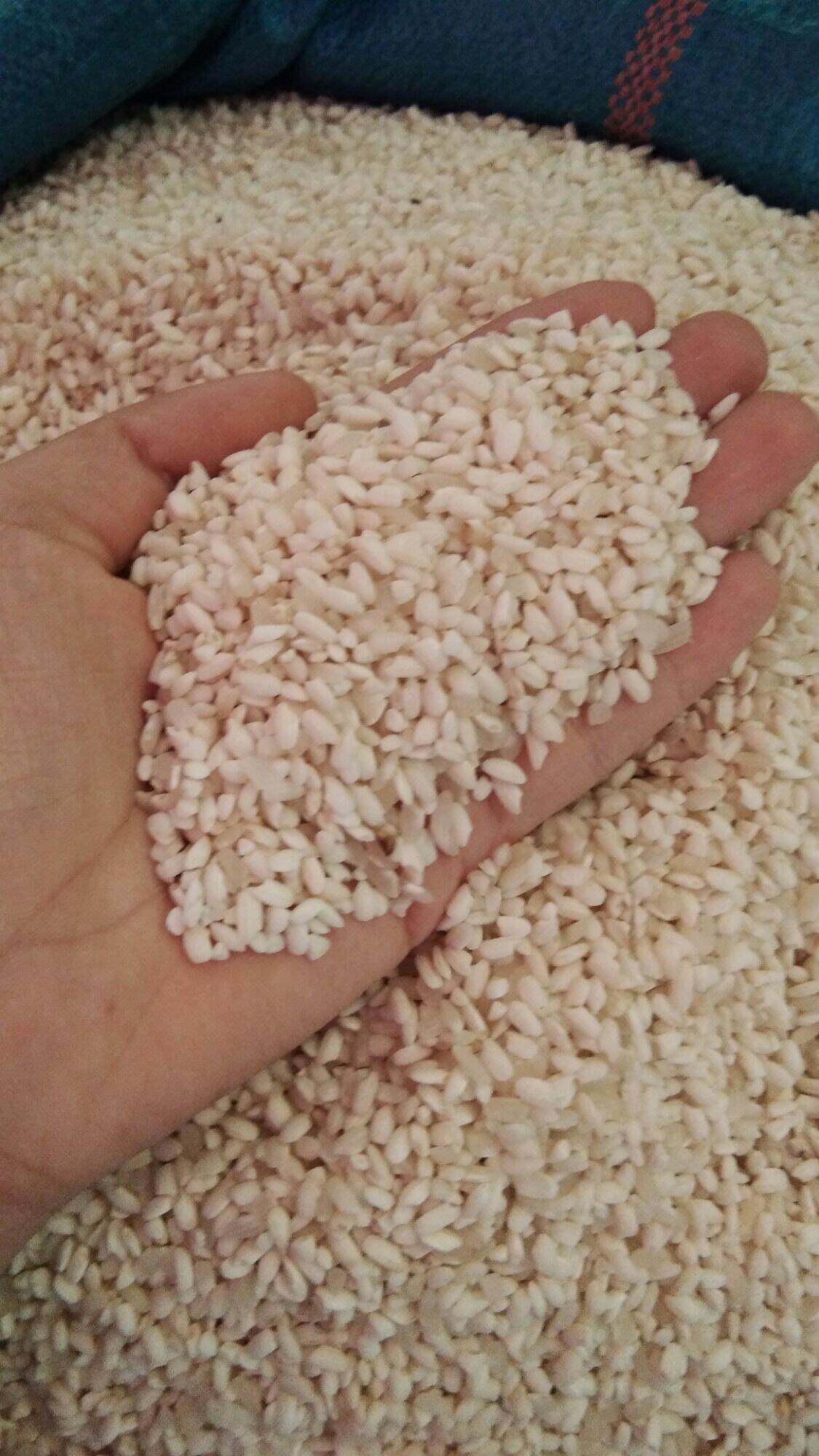Combo 3kg gạo nếp cái hoa vàng