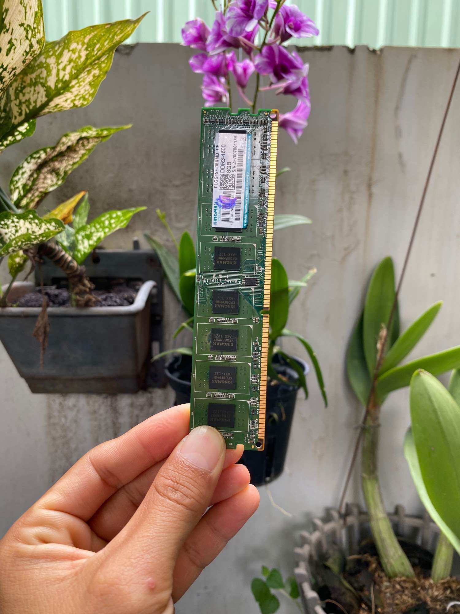 Ram 8g ddr3 buz 1600/1333