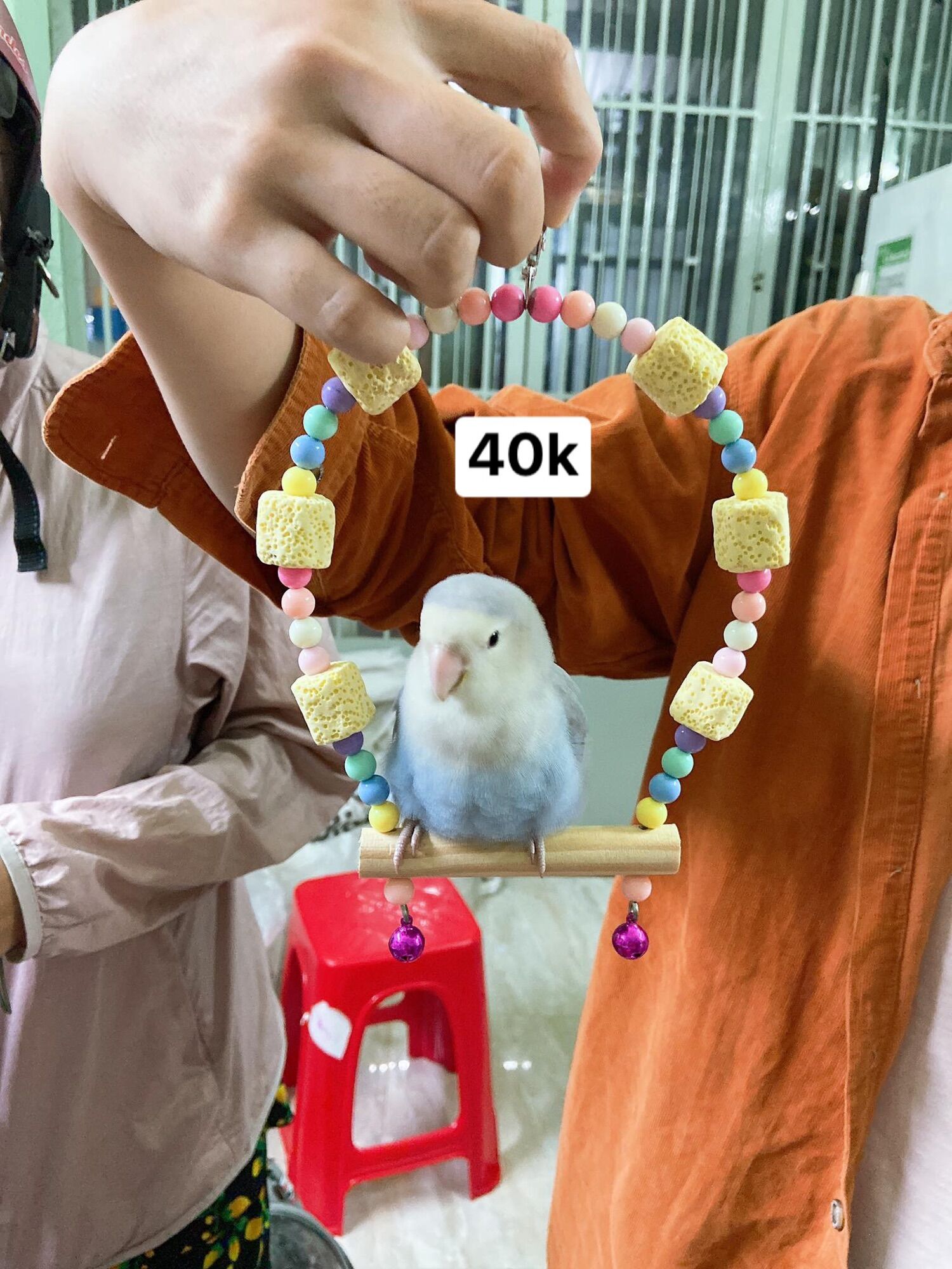 Xích đu treo lồng size nhỏ .