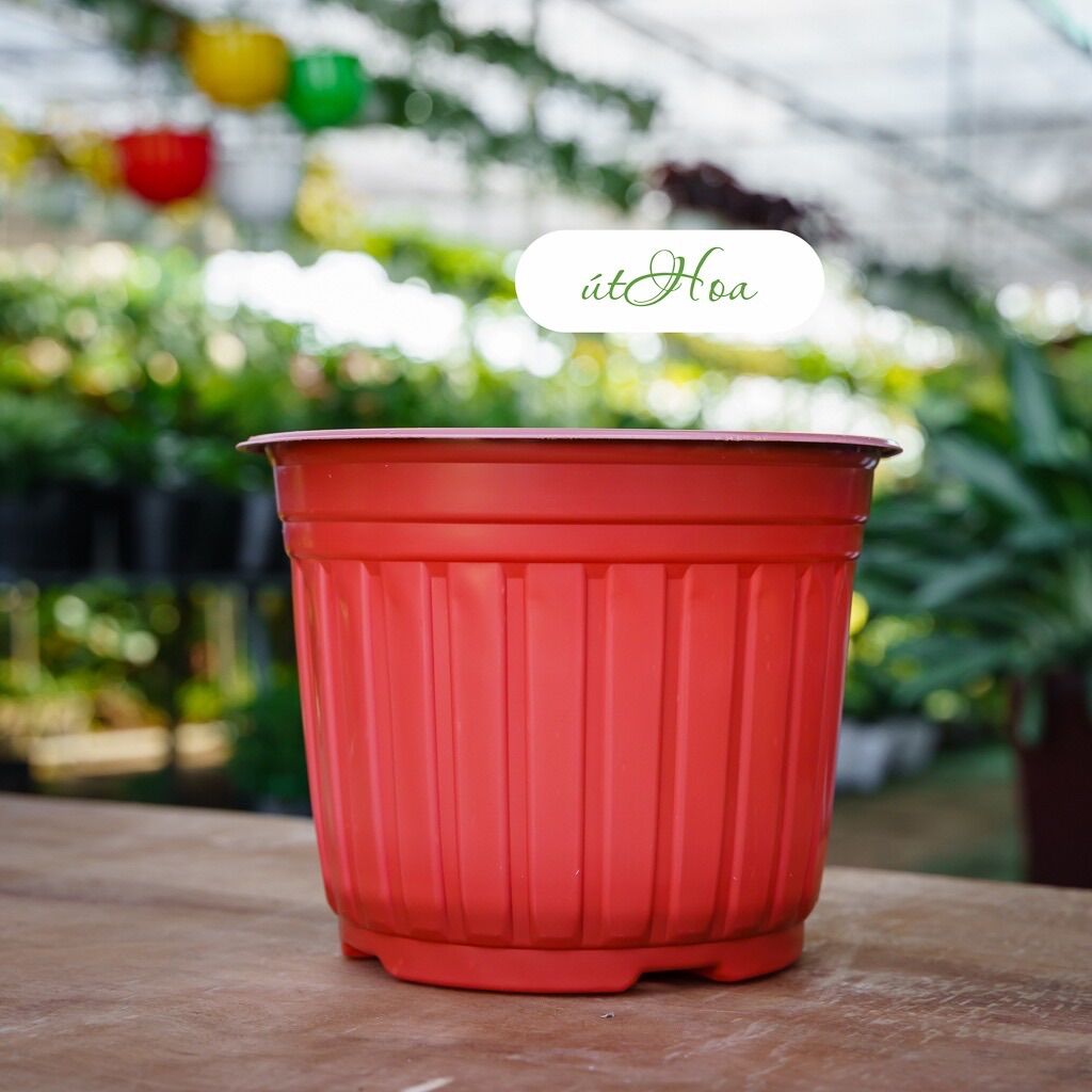 Chậu nhựa nâu N23 bóng đẹp