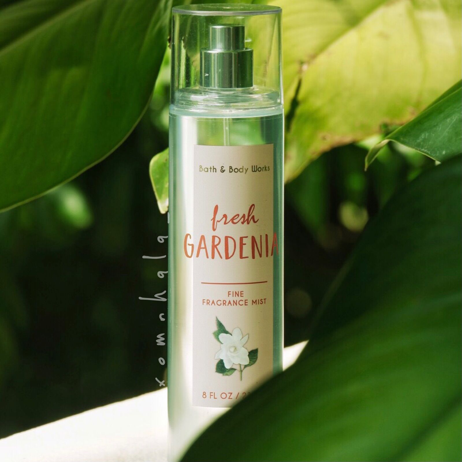Body mist - xịt thơm fresh gardenia