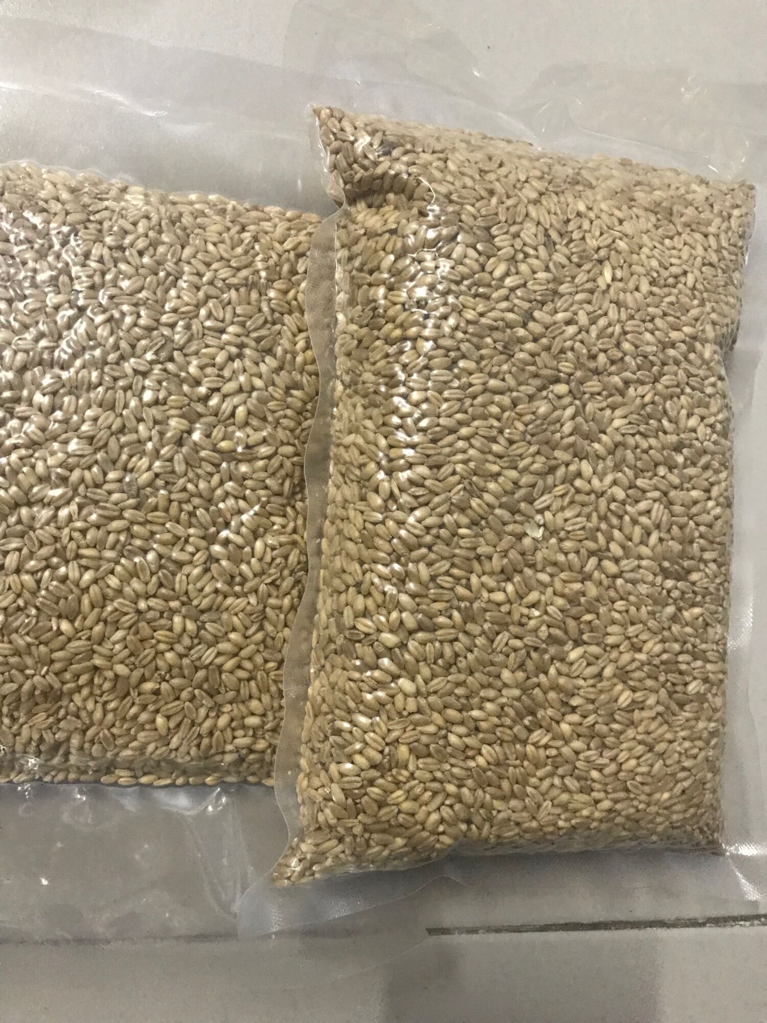 Hạt Lúa mì vàng Thức ăn gia cầm (GÓI 1KG )