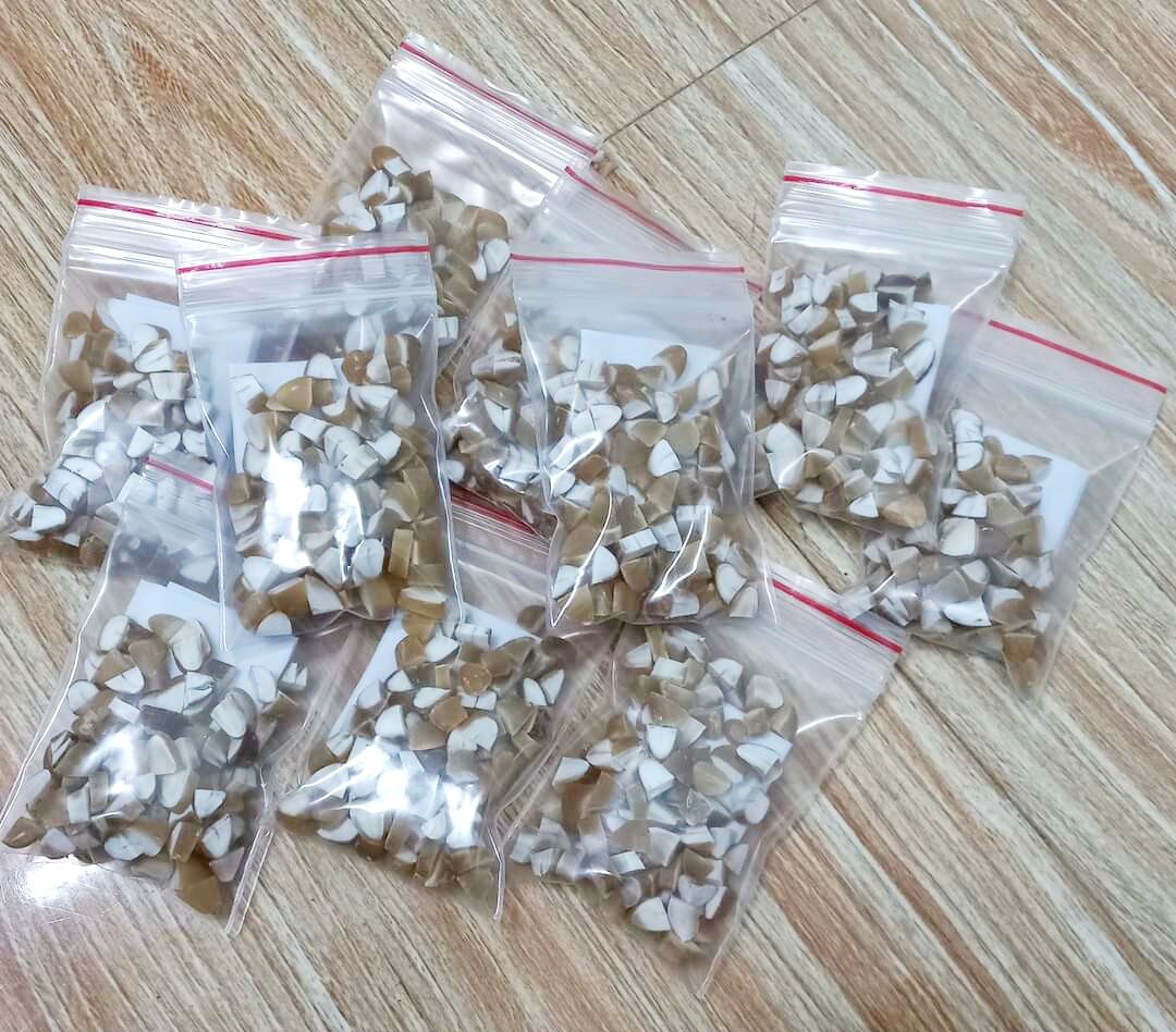 Hạt sang của người mông chữa đại tràng, dạ dày