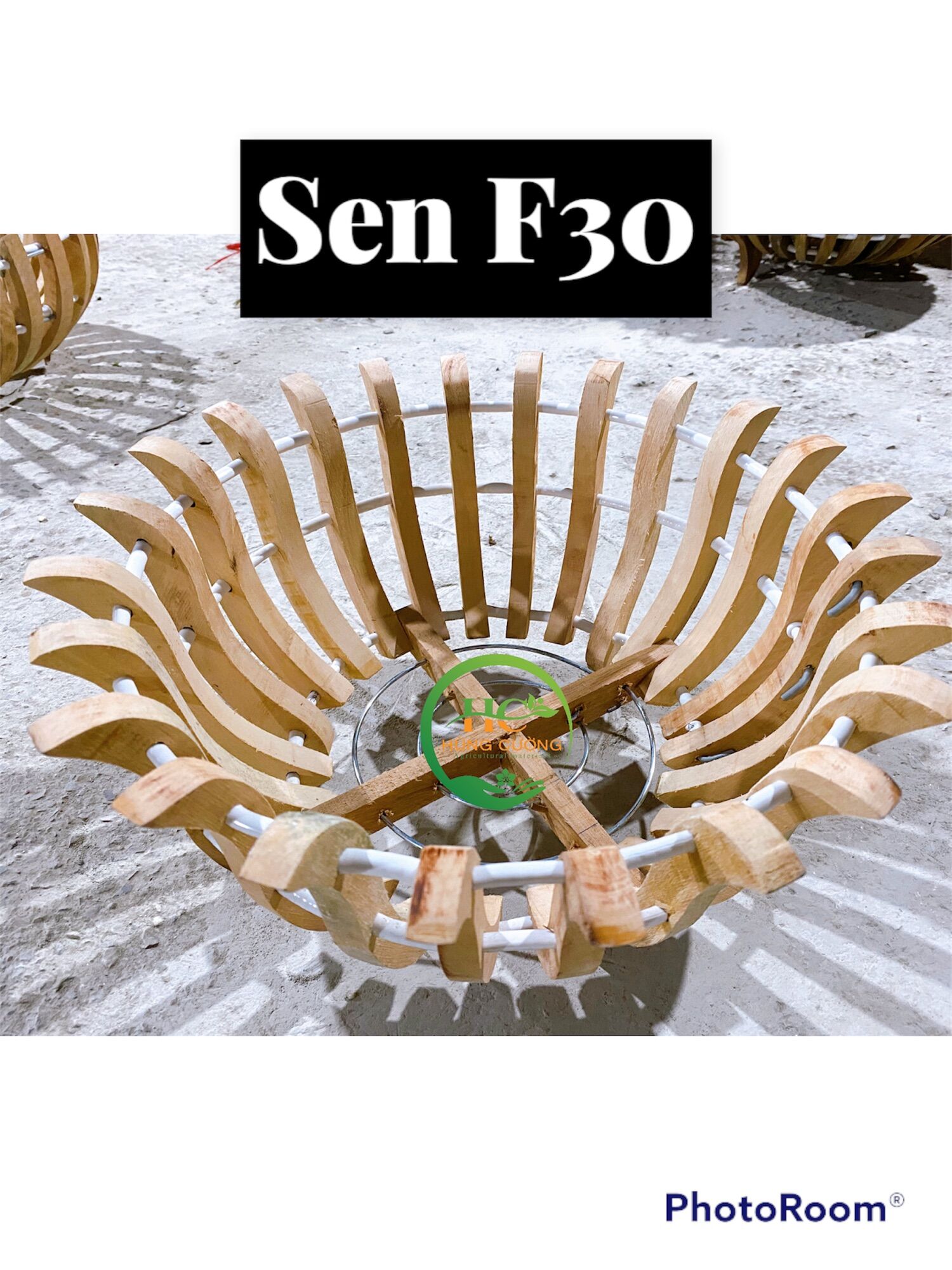 Chậu gỗ nhãn cao cấp trồng lan f30 dáng sen dáng bí