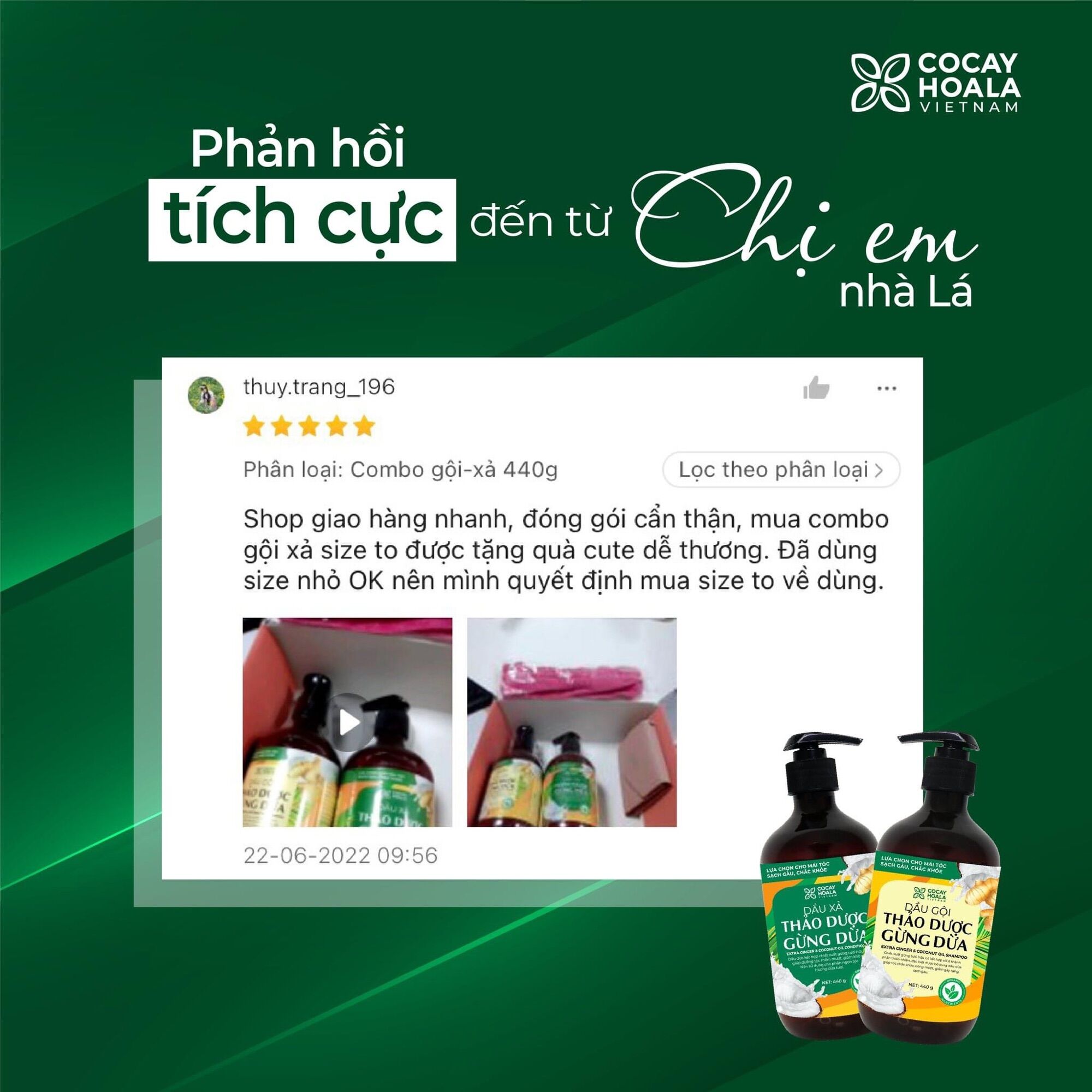 Combo Dầu Gội + Xả Thảo Dược Gừng Dừa