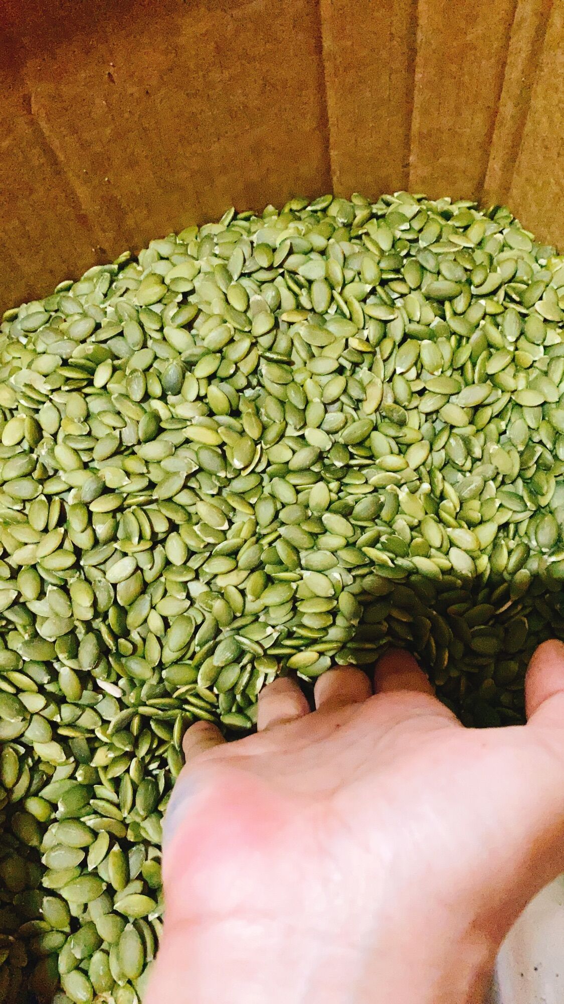 500G Nhân bí sấy chín