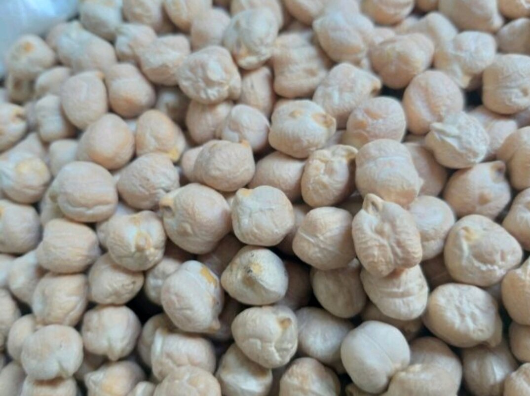 ĐẬU GÀ TRẮNG CANADA 500G