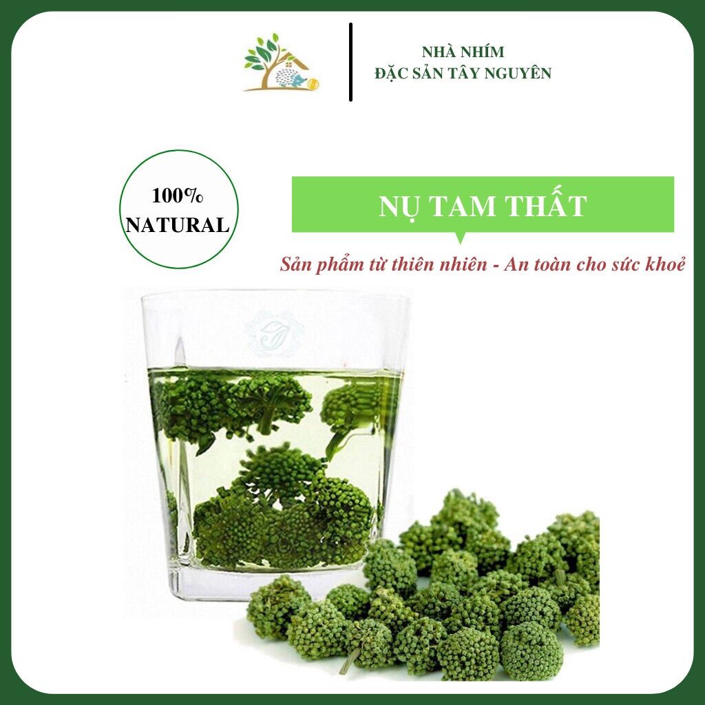 Nụ tam thất loại đặc biệt, nụ tam thất bao tử sấy khô giúp ngủ ngon giấc,hỗ trợ huyết áp dễ uống - 500gr