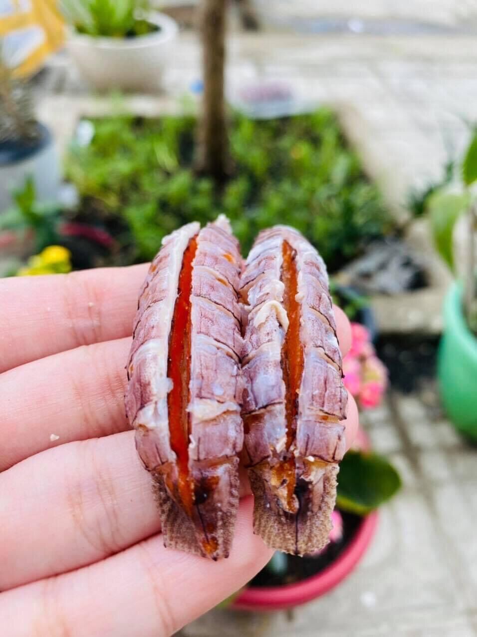 Nõn tôm tích (bề bề) 500g