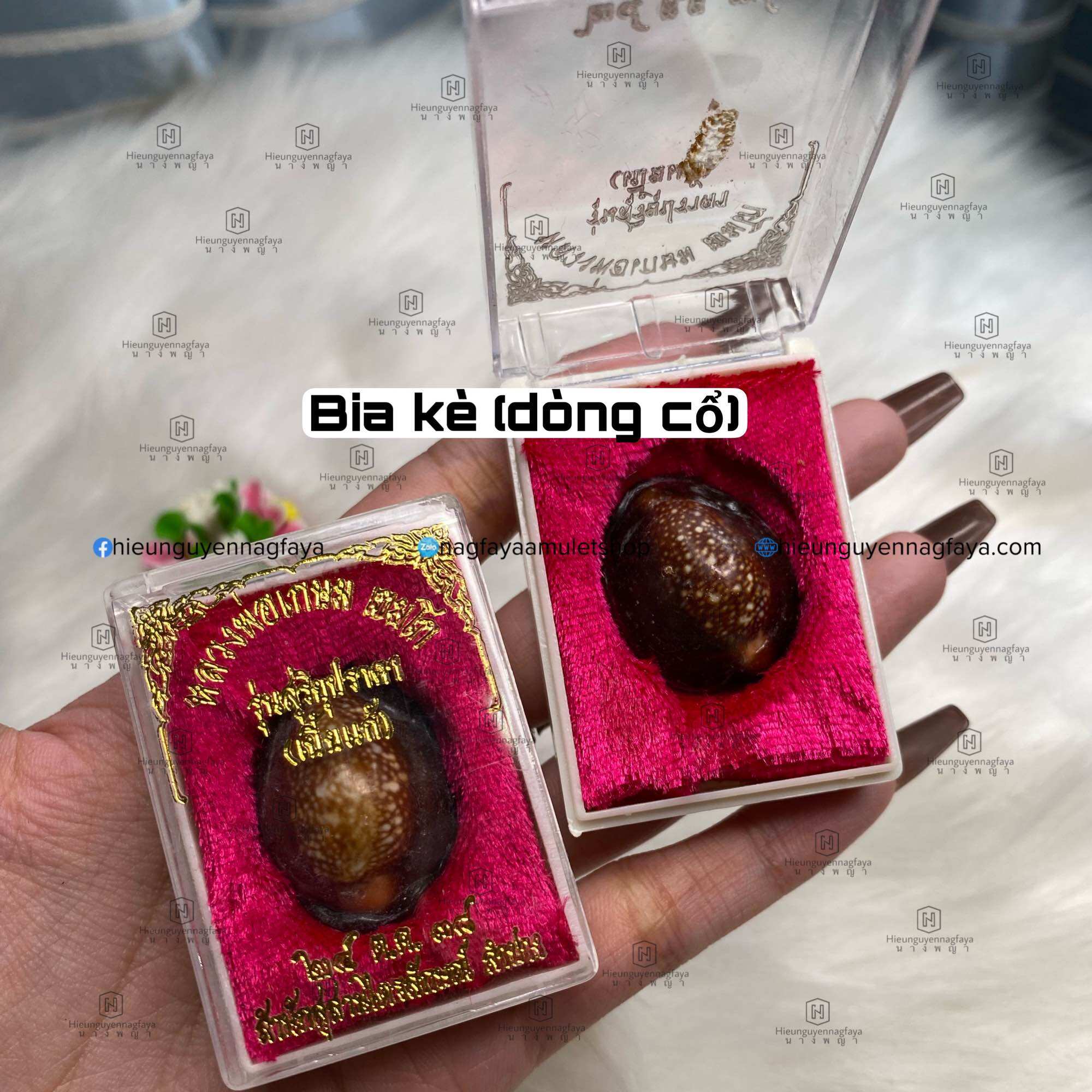[siêu hiếm] Vòng Đeo Tay Bia Kè Dòng Cổ Thái Lan [HÀNG THẬT]