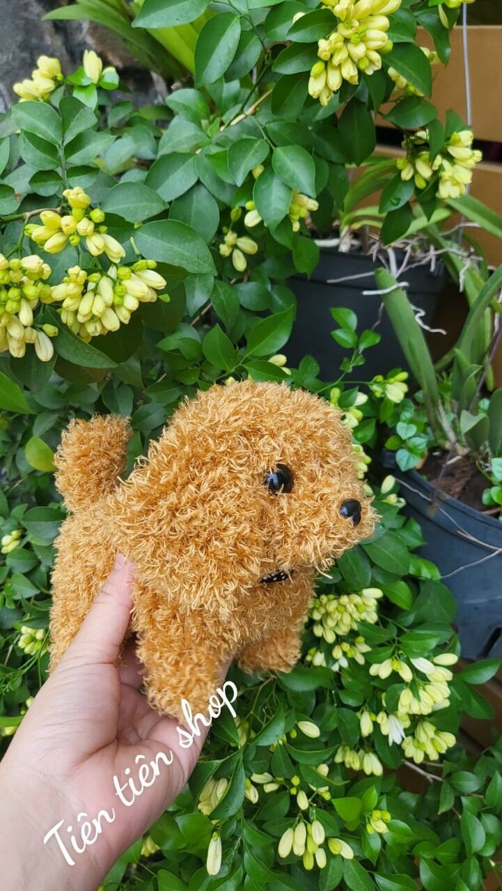 Cún Bông kèm lồng và phụ kiện ( tặng kèm pin)