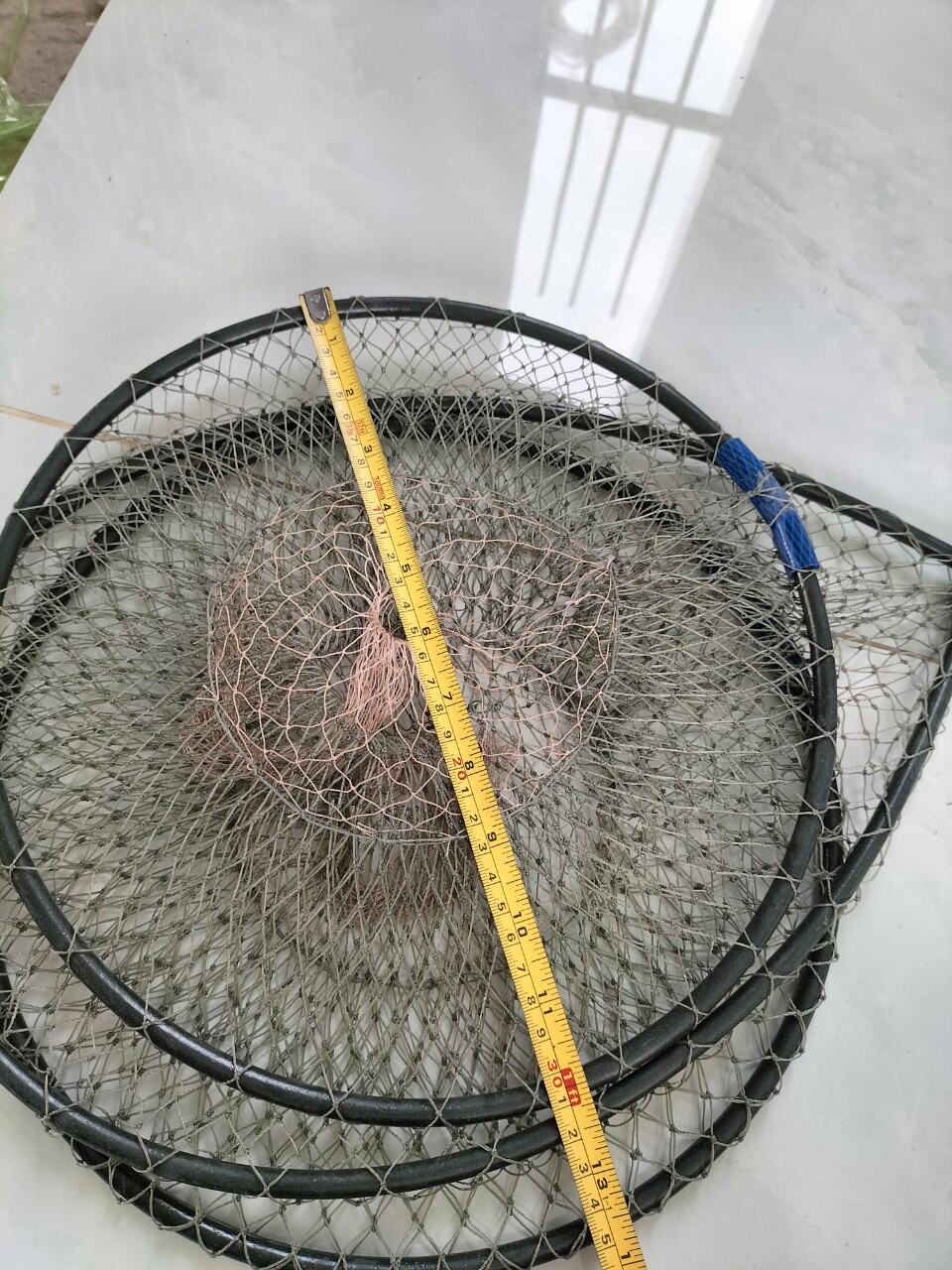 combo 5 cái lờ cá cải tiến vành nhựa 30*53