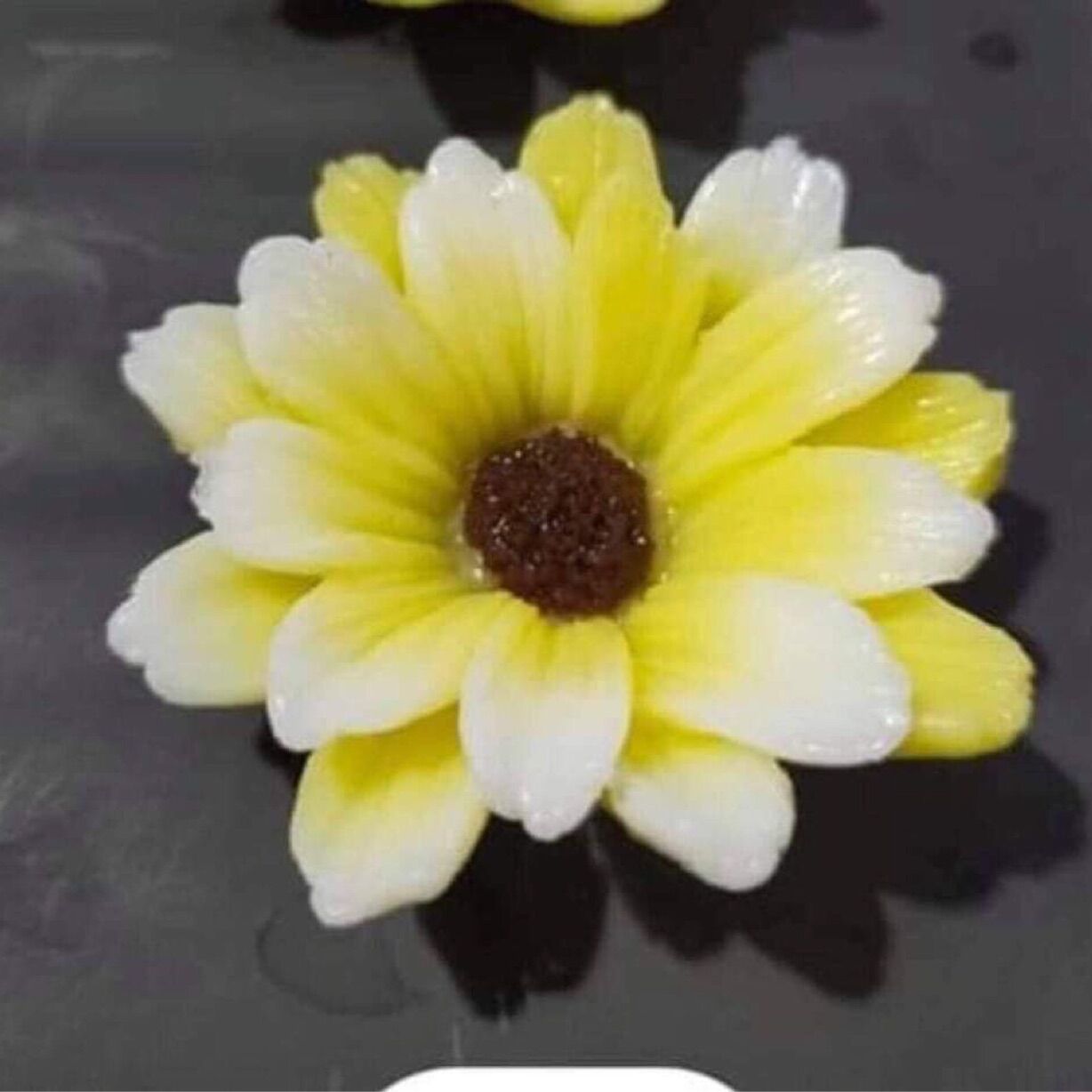Khuôn silicon hoa cúc cánh lên 7.5 cm