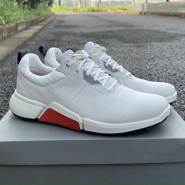 Giày Golf Ecco Nam mẫu nới năm 2021