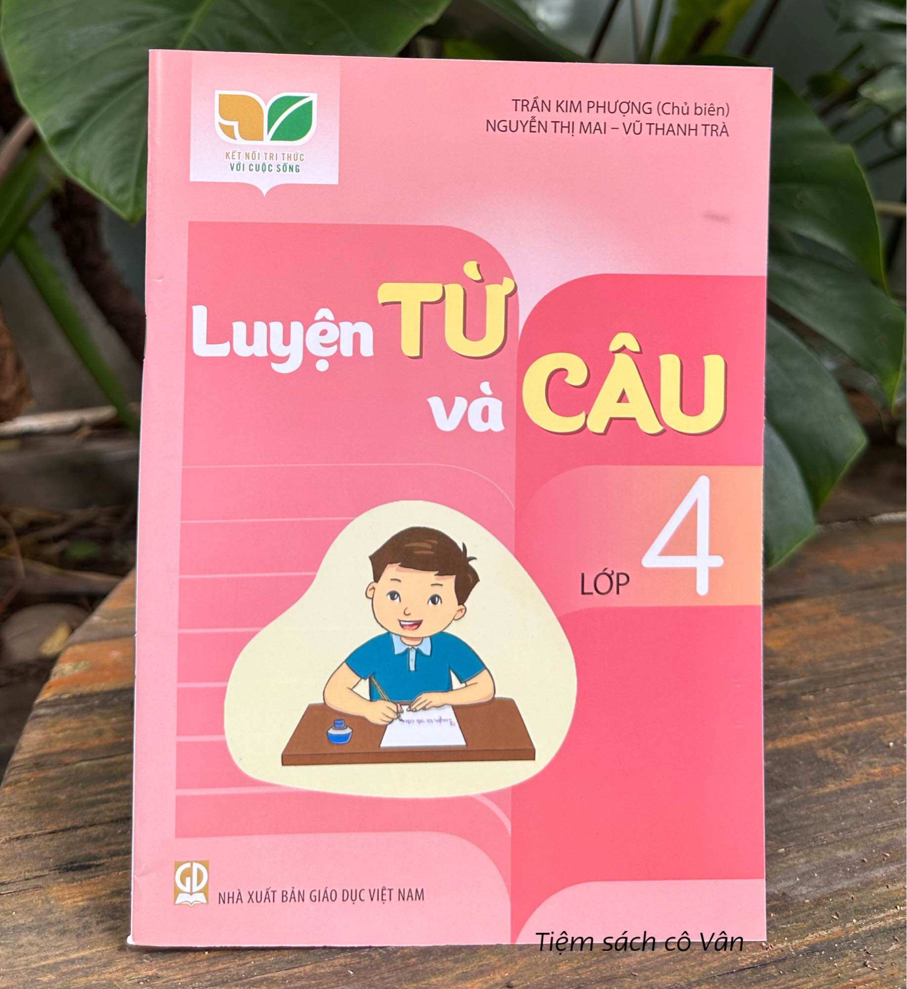 Luyện từ và câu lớp 4