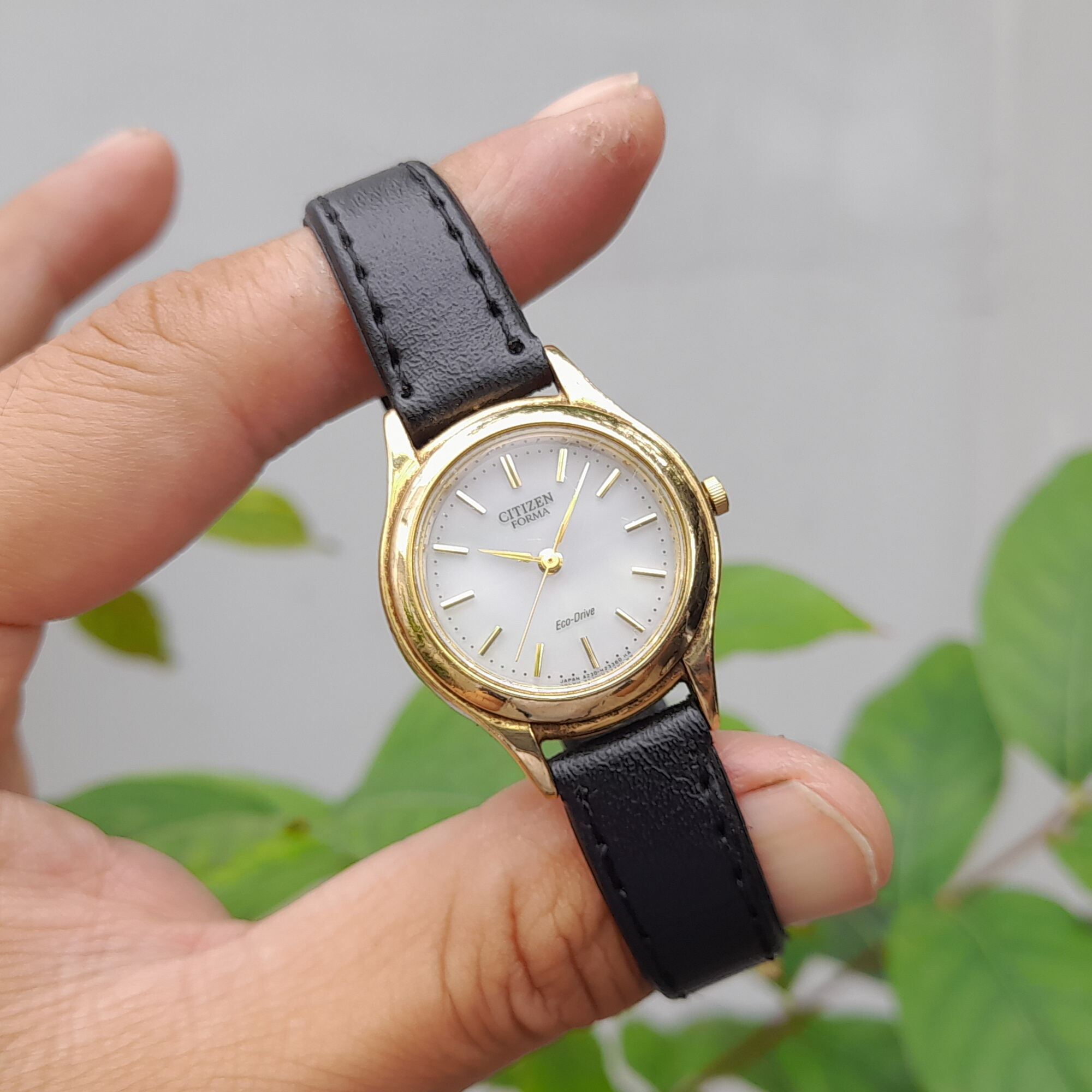 Đồng hồ Citizen cho Nữ kute đẹp mới nè