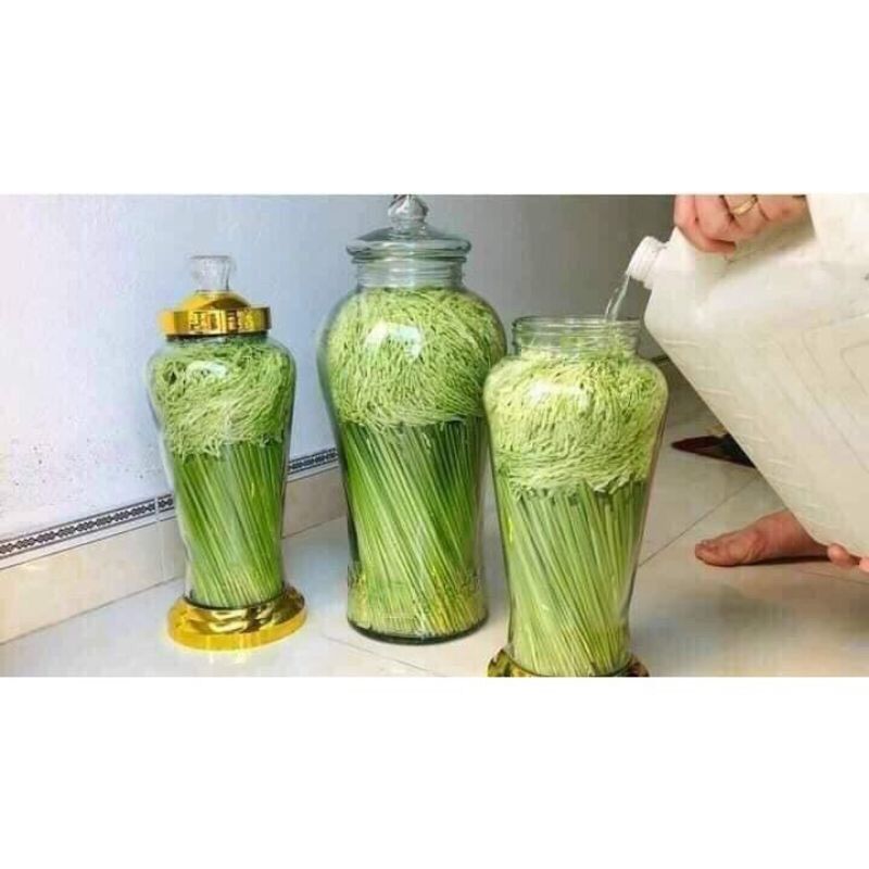 Đòng đòng lúa nếp Tây Bắc (1kg)