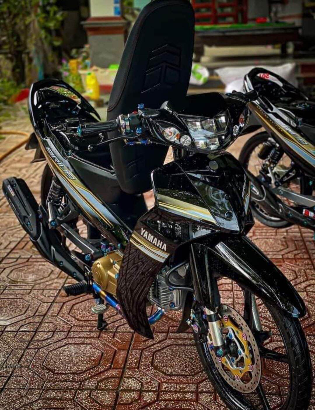 Tem rời sirius đen