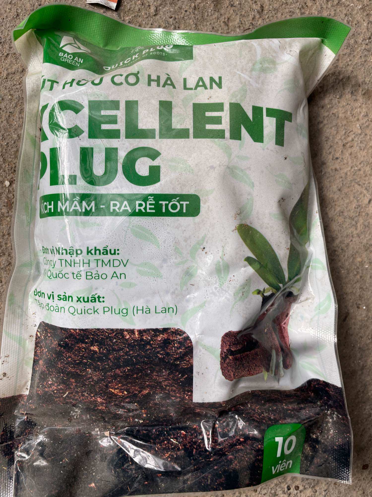 Túi 10 miếng mút ươm kie QUICK PLUG  Hà Lan