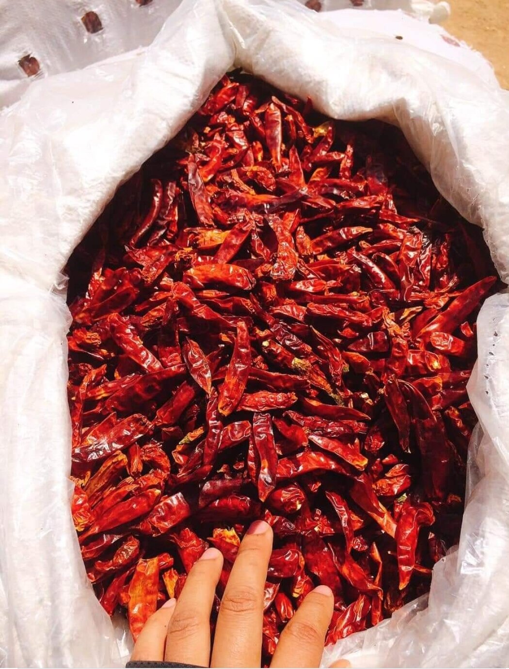 200g ớt Lào phơi khô