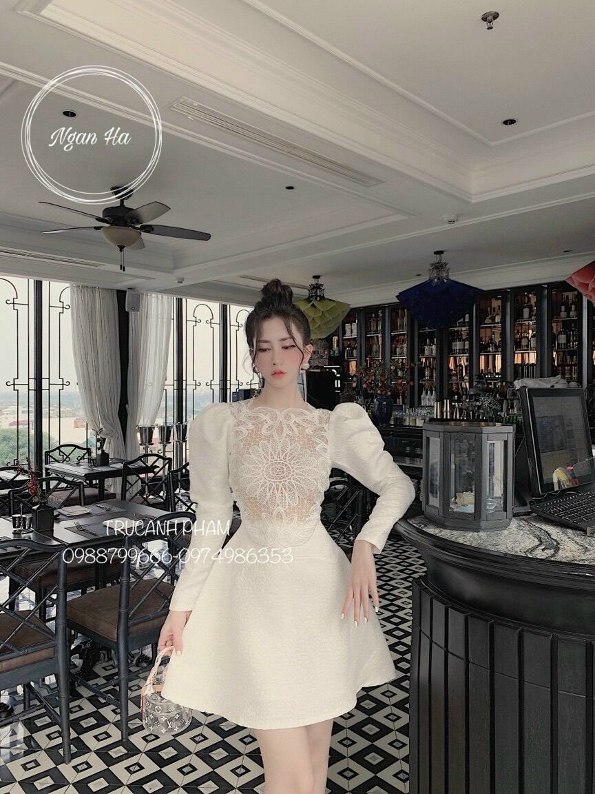 Đầm Xoè phối Ren Cao Cấp Dự Tiệc cho Nữ