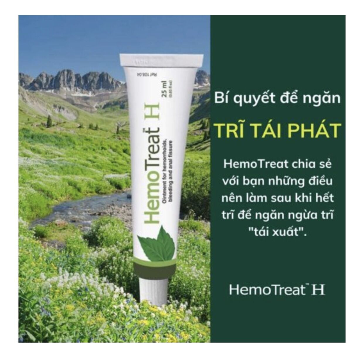 Gel bôi HEMOTREAT H Ointment (hỗ trợ trĩ)