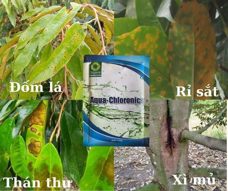 [HCM]chế phẩm phòng trừ nấm Aqua 125gam