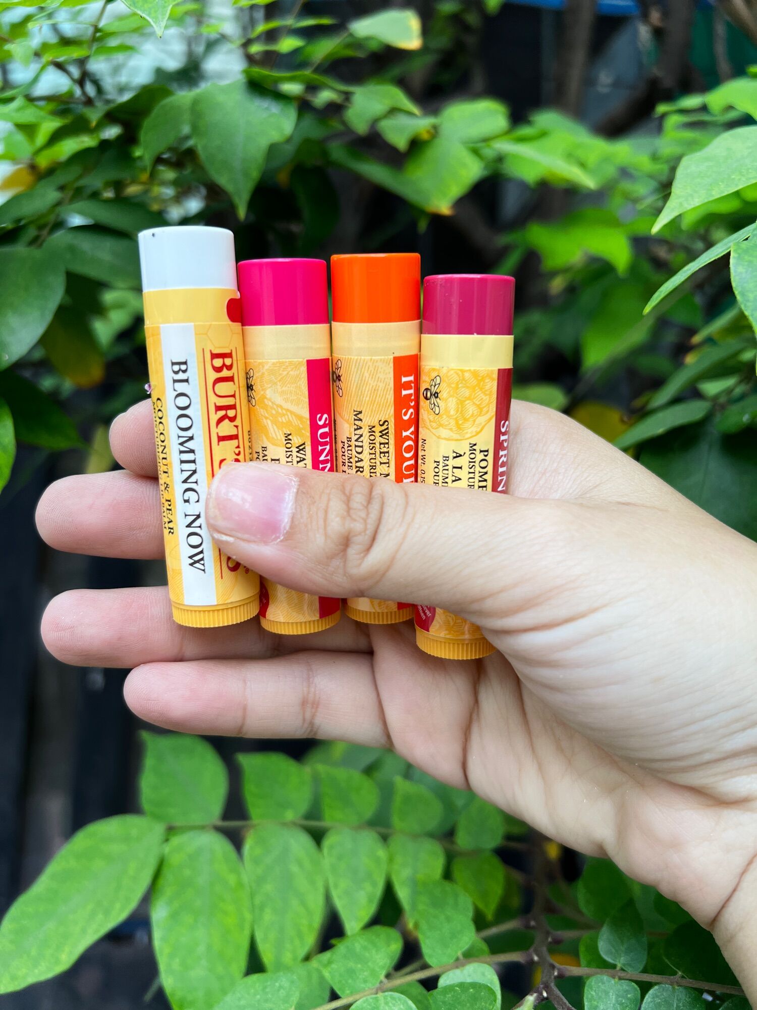 (SỈ GIÁ MĨ) Son dưỡng môi Burt's Bees Natural Lip Balm của Mỹ