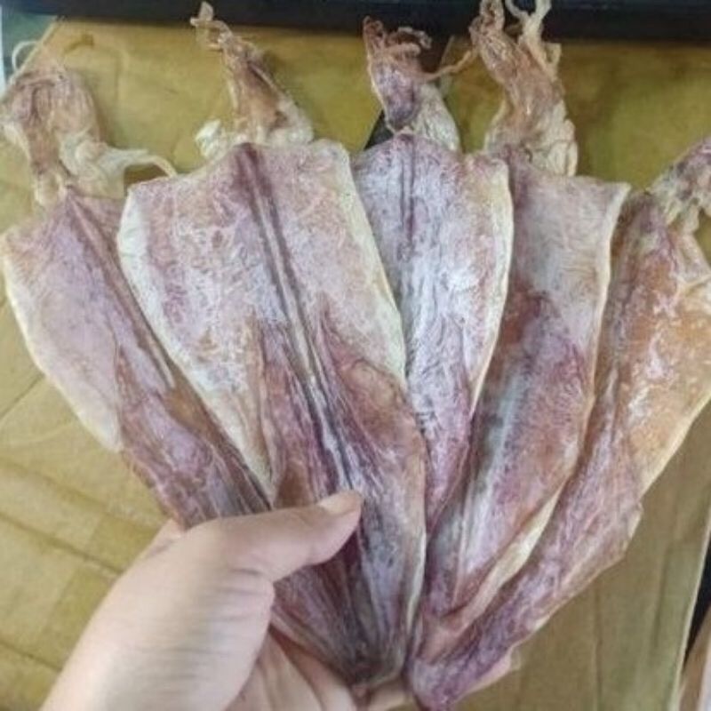 Siêu rẻ 5 con mực y hình ngọt thịt