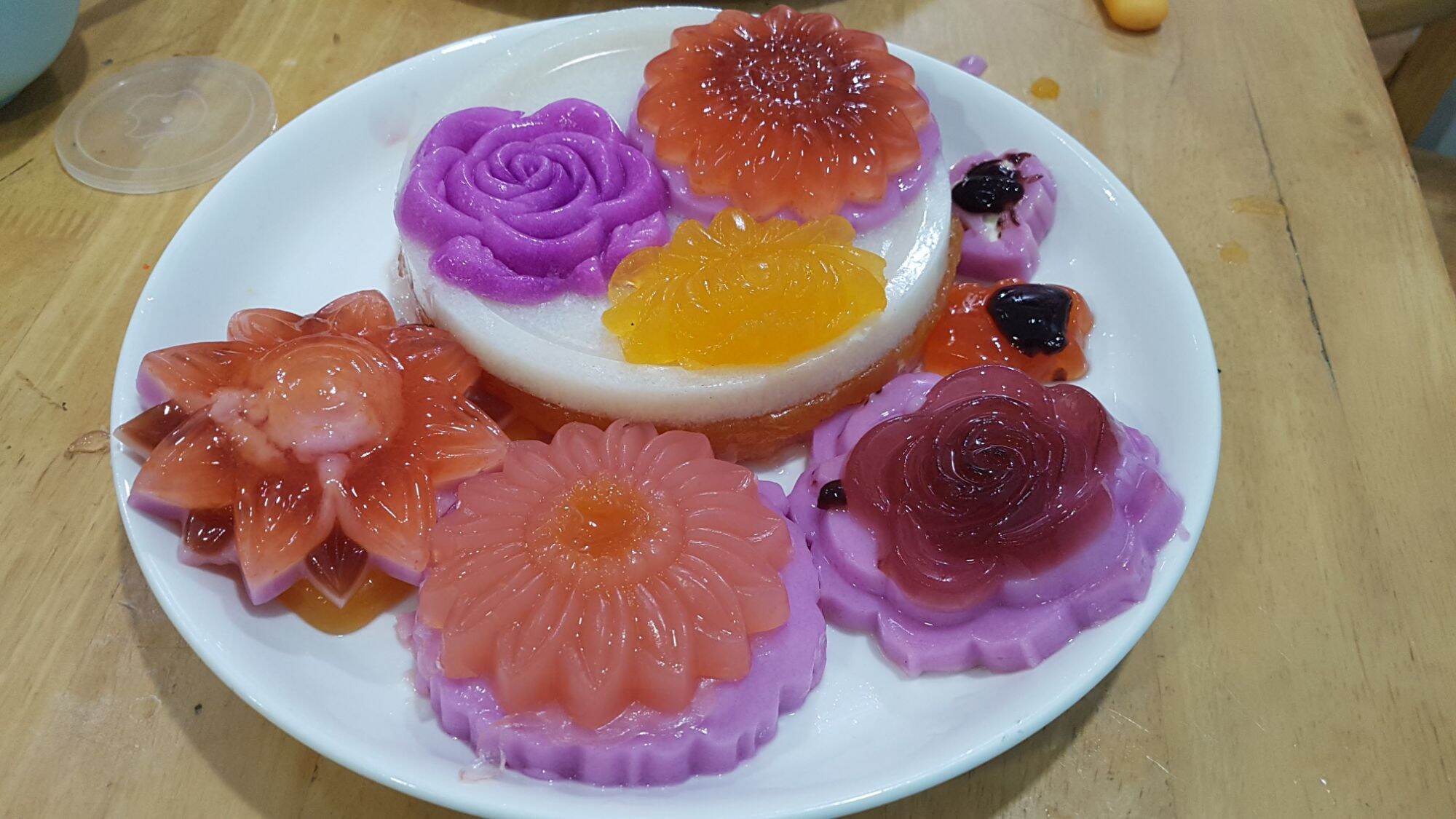 Lá cẩm Tím. ( Cây giống)
