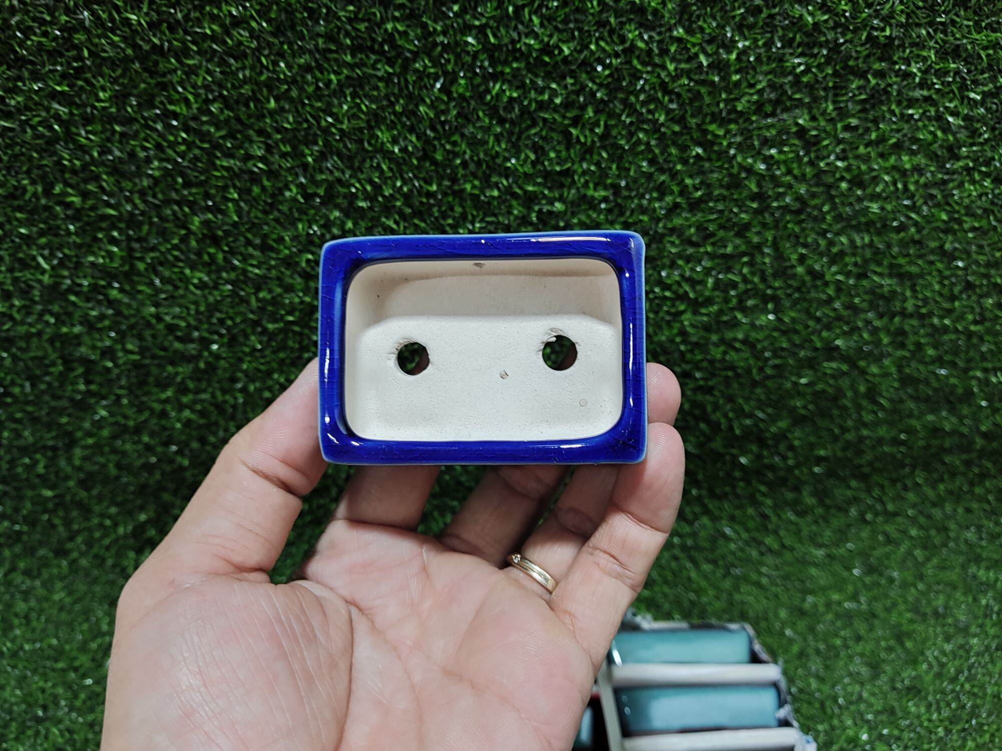Chậu tàu mini