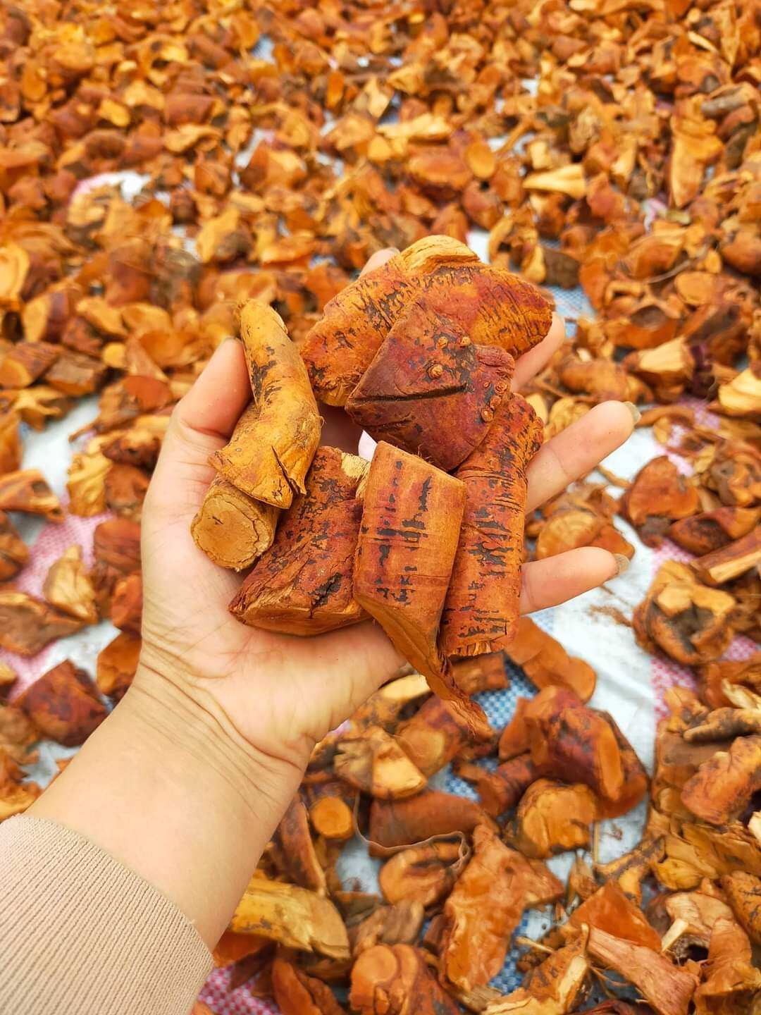 1KG RỄ MÚ TỪN KHÔ CHUẨN
