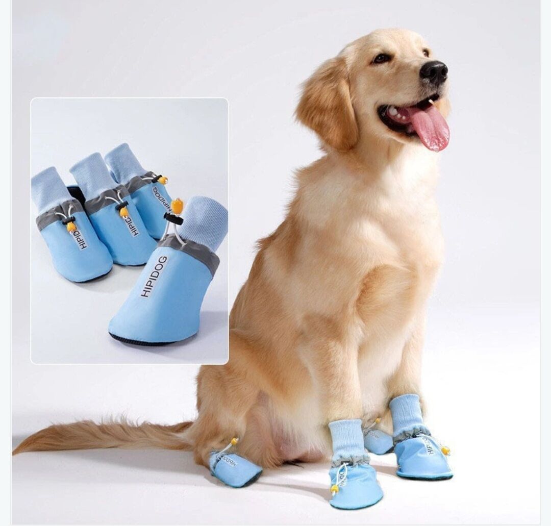 Giày boots hipidog cho thú cưng