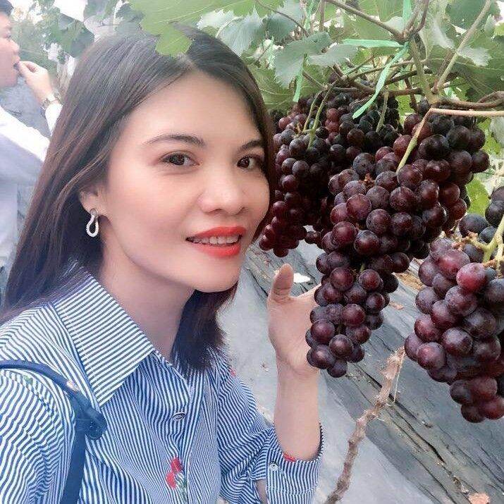 Cây Giống Nho Hạ Đen Không Hạt (Hướng dẫn trồng đến khi cho trái)