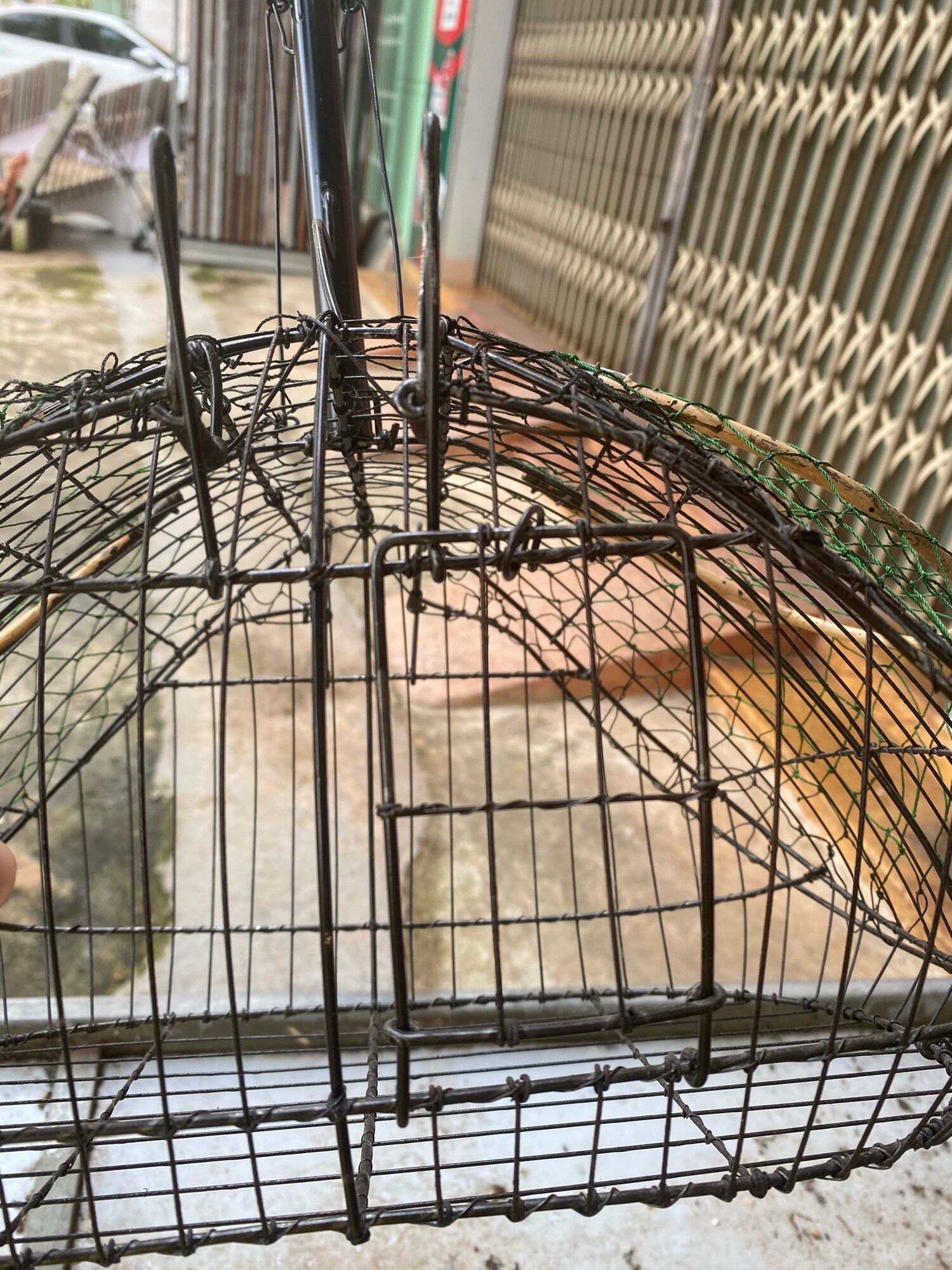 LỒNG BẪY CHÀO MÀO HÀNG ĐẶC BIỆT- NHẠY
