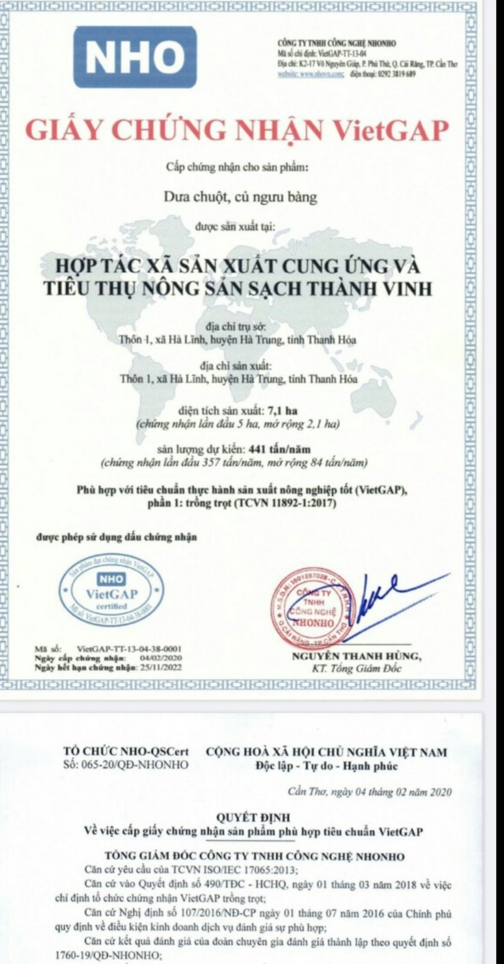 TRÀ NGƯU BÀNG TÚI LỌC (24 TÚI LỌC)