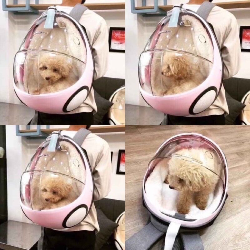 [ TẶNG LÓT VỆ SINH] Balo phi hành gia hình bọ dừa Lady Bug