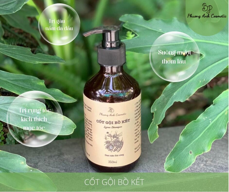 [Hot]Cốt Gội Bồ Kết ngăn ngừa rụng tóc