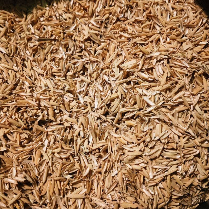 Vỏ trấu khô sạch trồng cây đóng gói 1kg