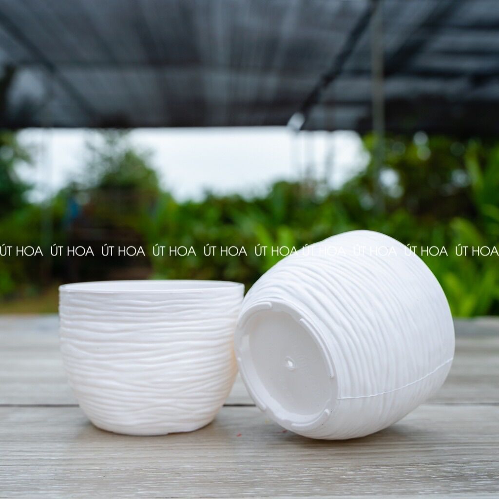 Chậu trồng sen đá Sóng tròn nhỏ (hàng dày)
