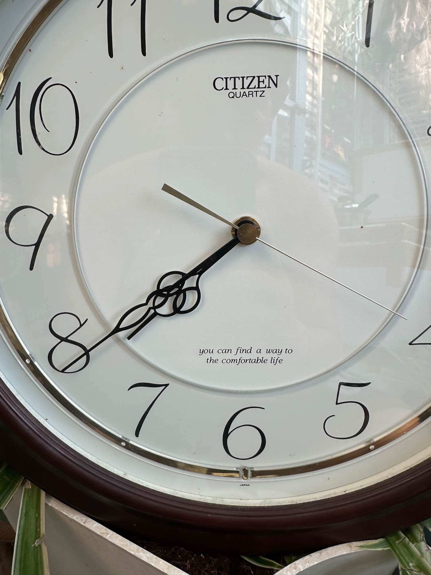 Đồng hồ treo citizen tường bãi nhật