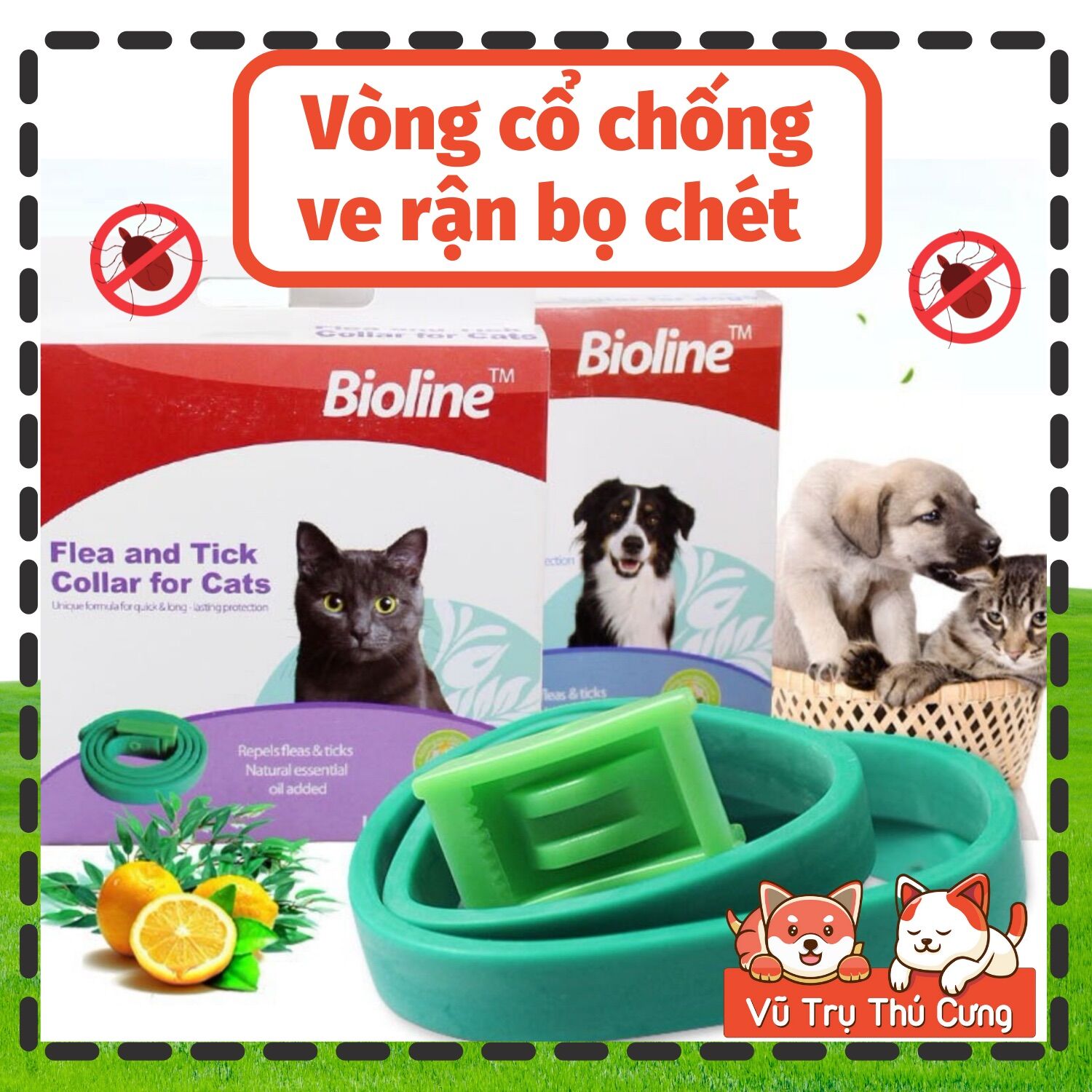 Vòng cổ chống ve rận, bọ chét cho Thú cưng Bioline