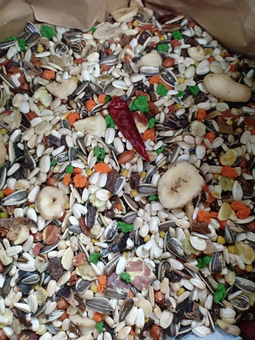 Hạt trộn mix trái cây sấy cho vẹt lớn 500g.