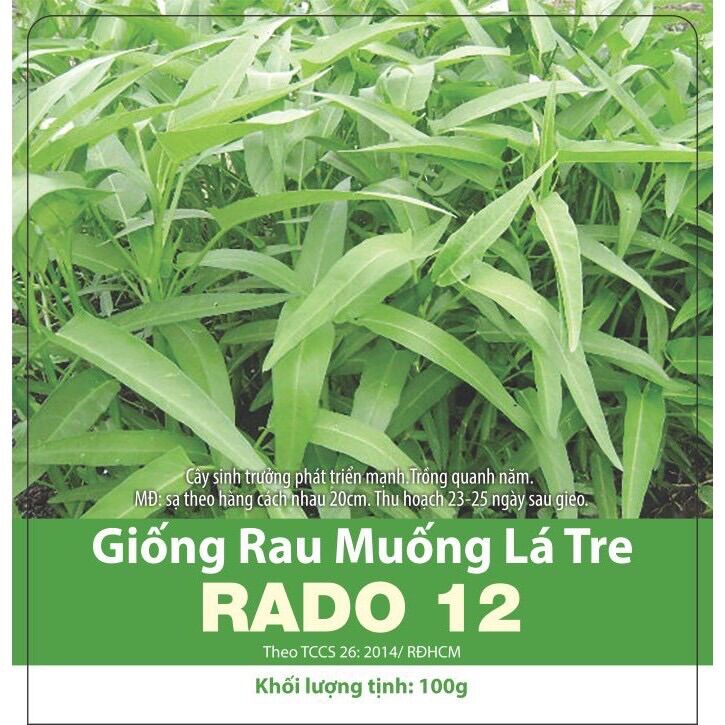 Hạt giống rau muống lá tre