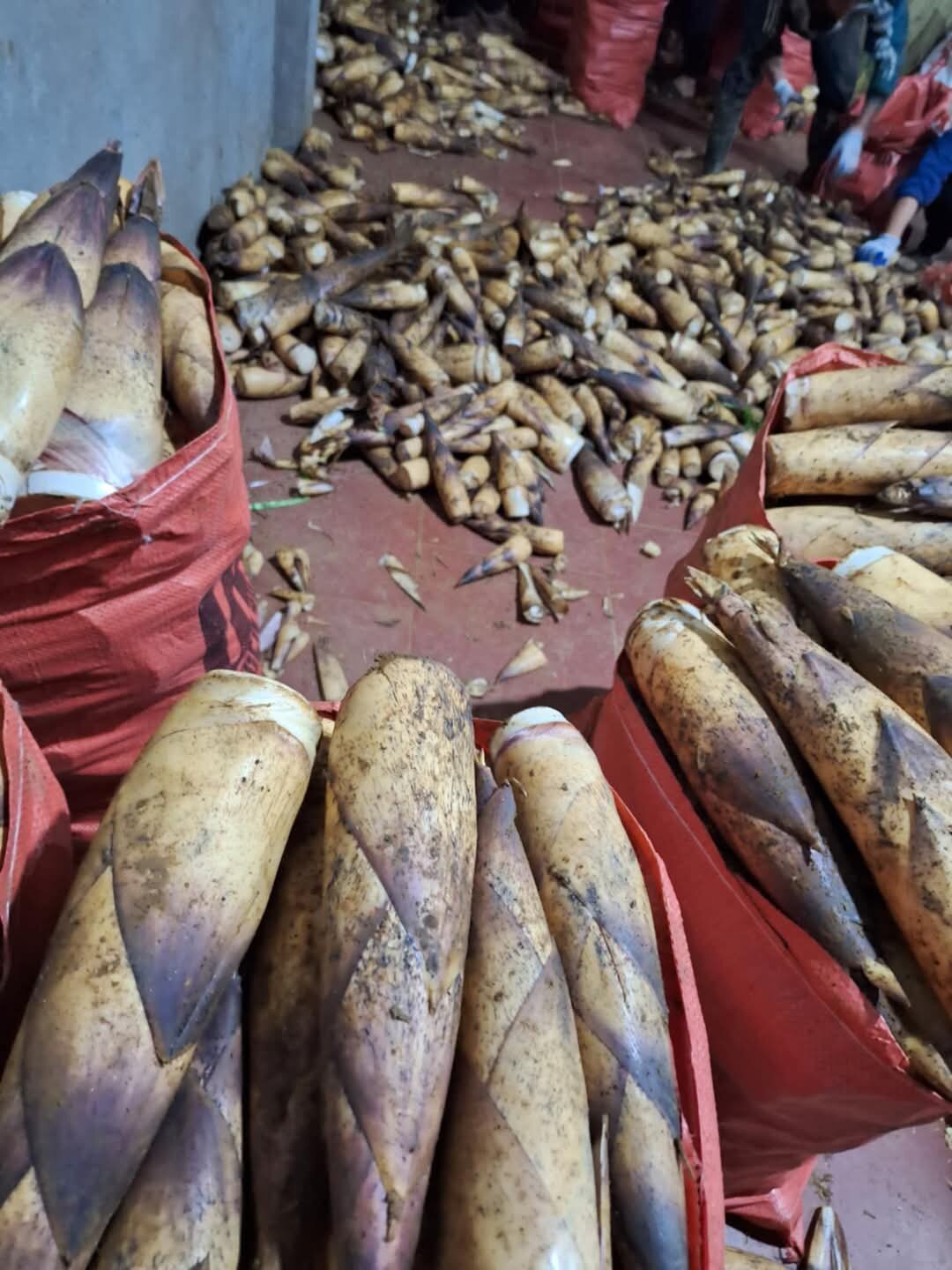 Măng vầu ngọt Tây Bắc 1kg