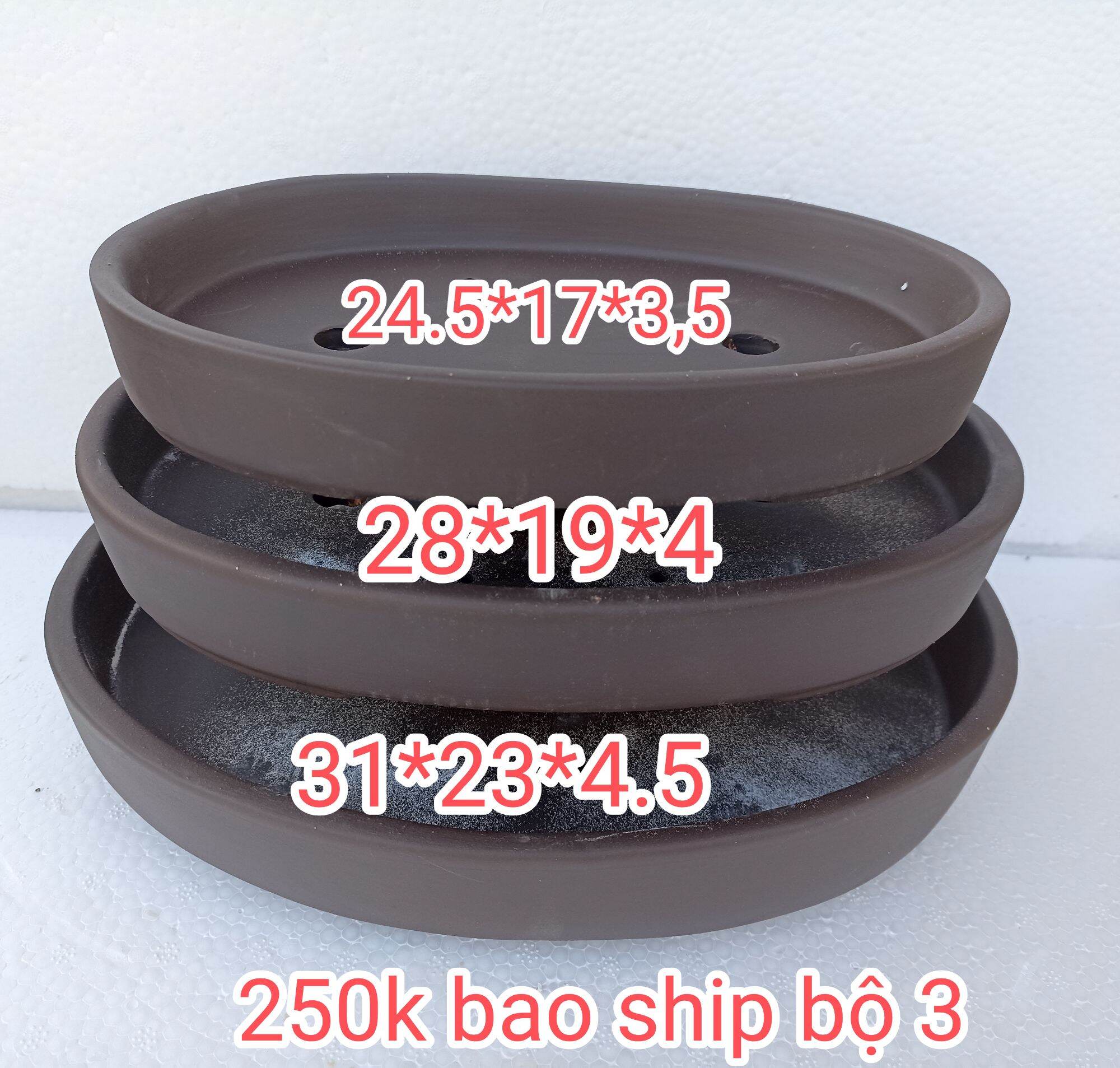 Bộ 3 chậu ovan cạn