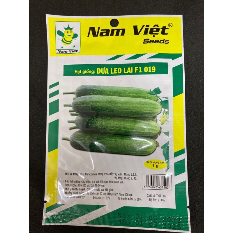Hạt giống nam việt - dưa leo lai f1 019 - 1g