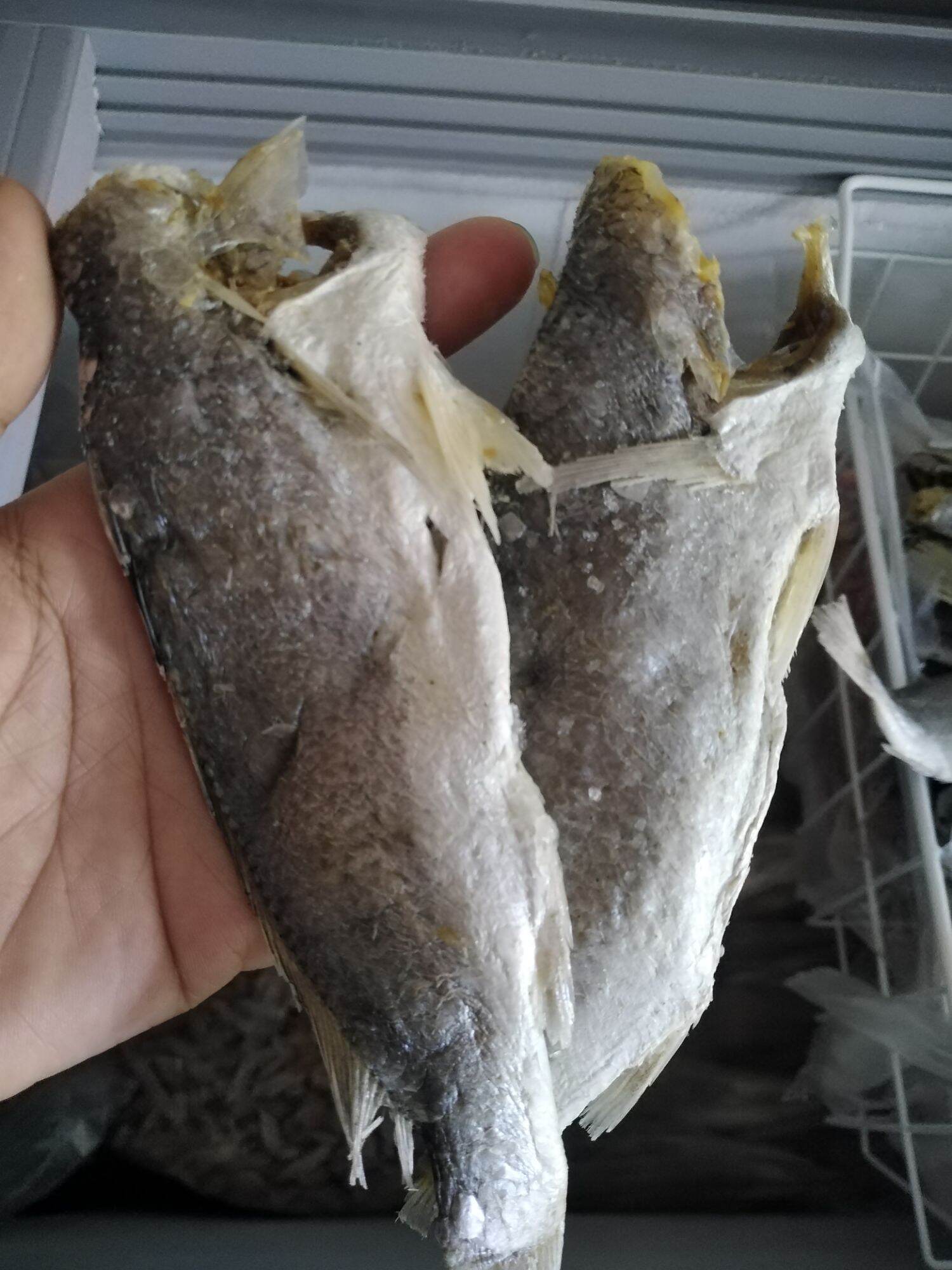 khô cá lù đù 500g